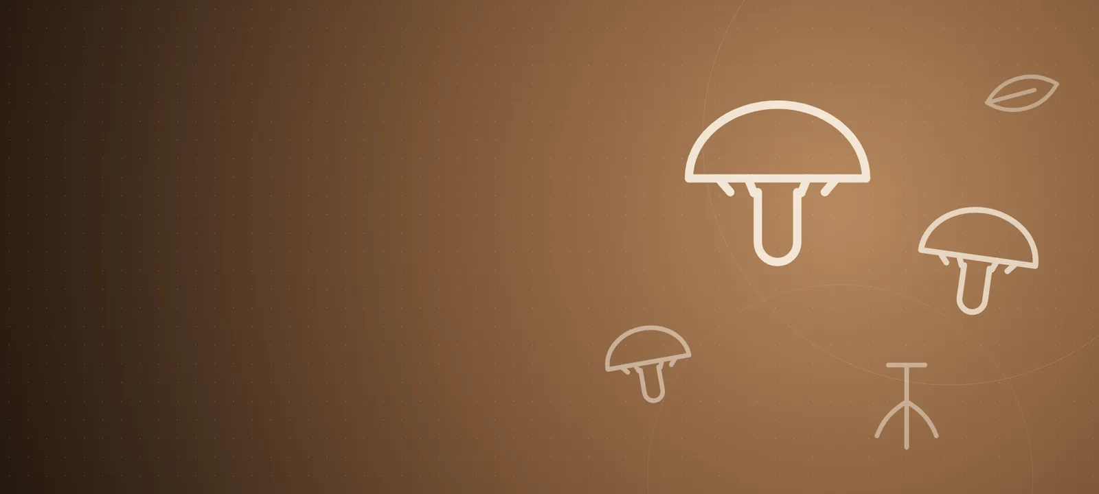 Dried functional mushrooms